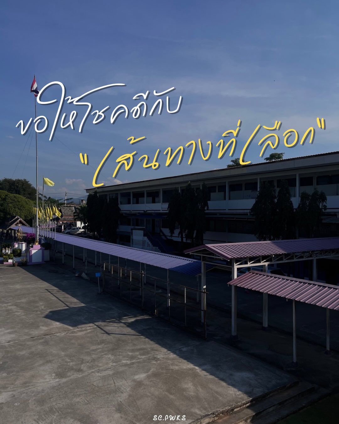 รูปภาพกิจกรรม 11