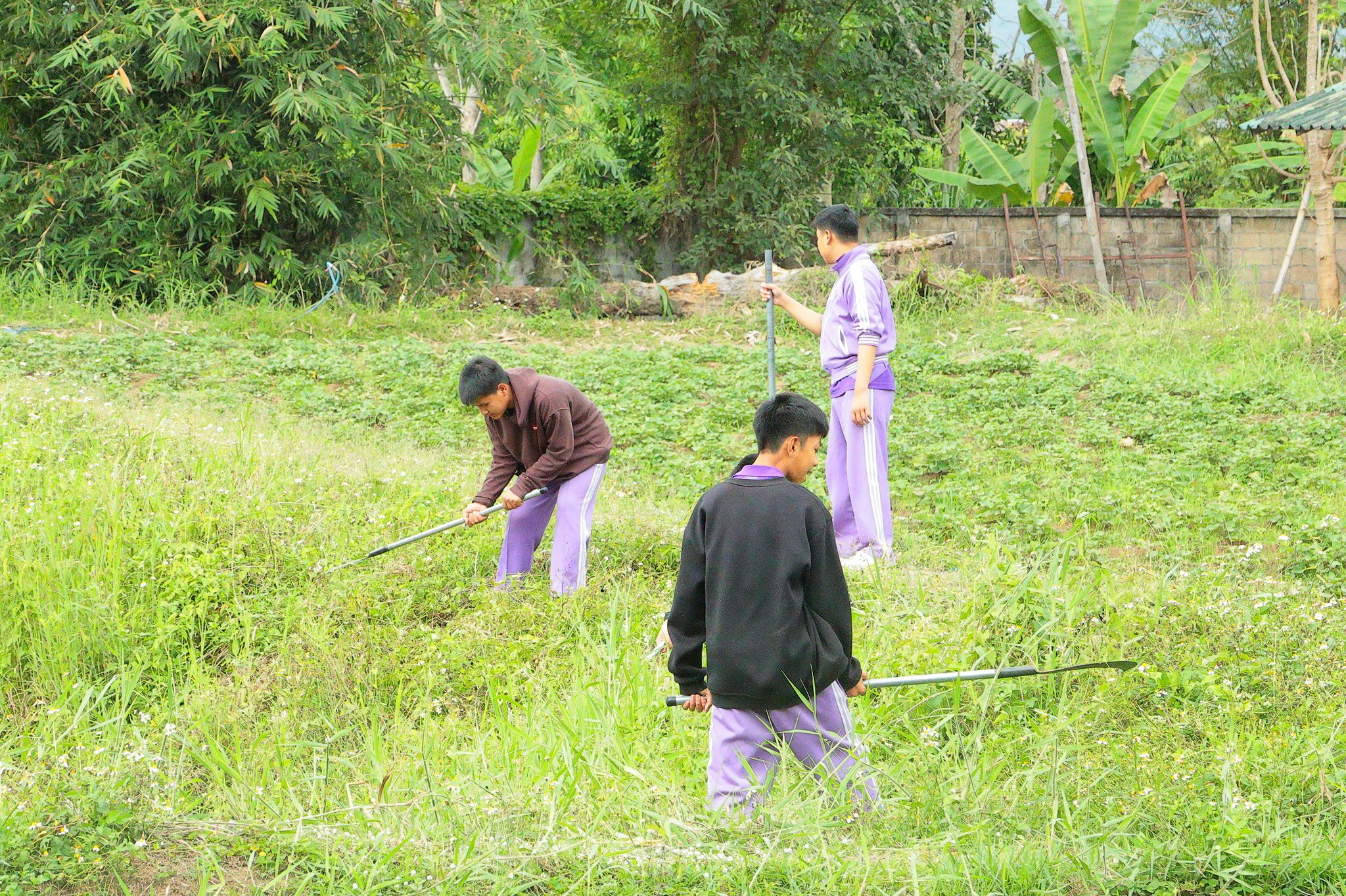 รูปภาพกิจกรรม 12
