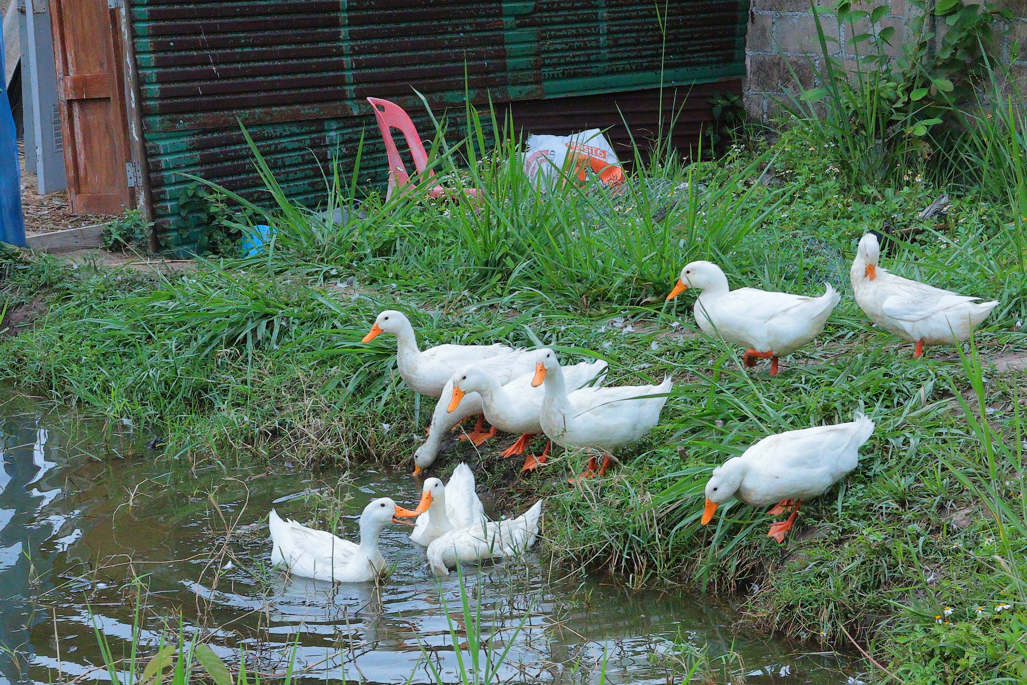 รูปภาพกิจกรรม 16