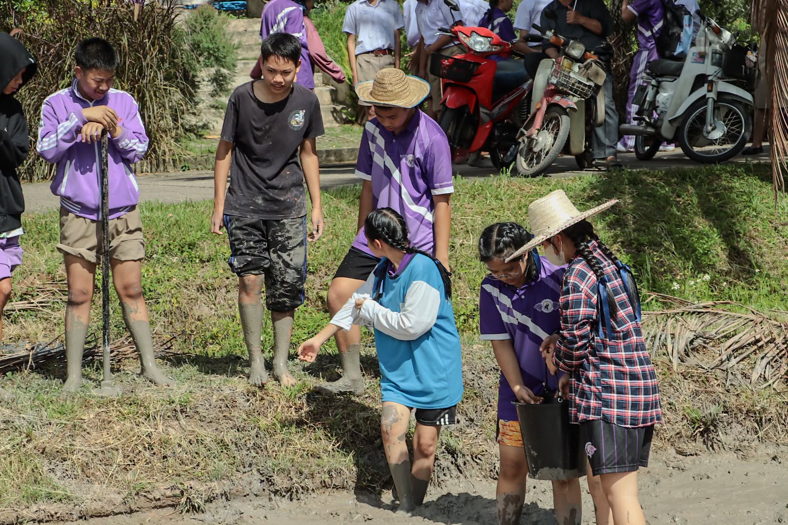 รูปภาพกิจกรรม 1