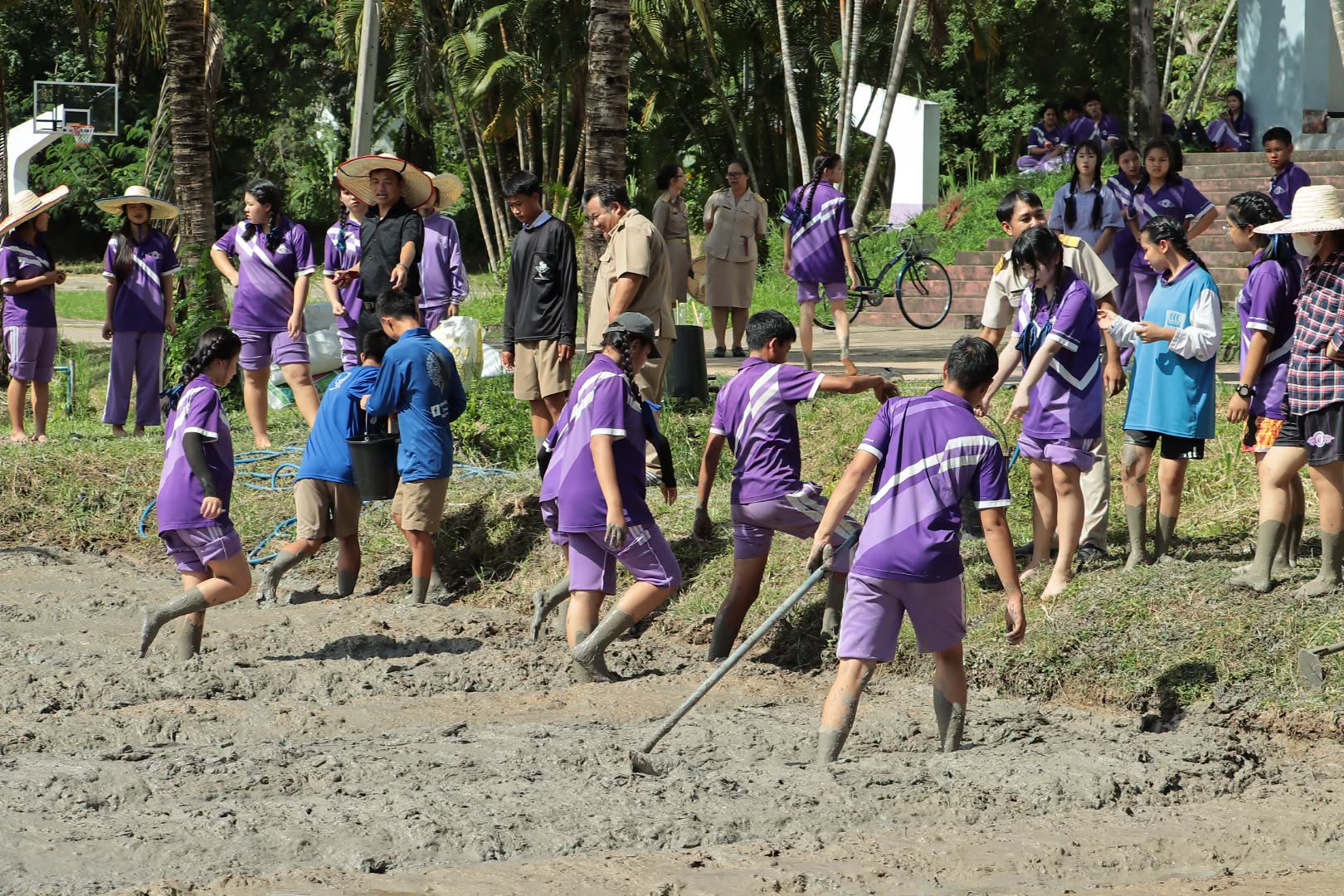 รูปภาพกิจกรรม 2